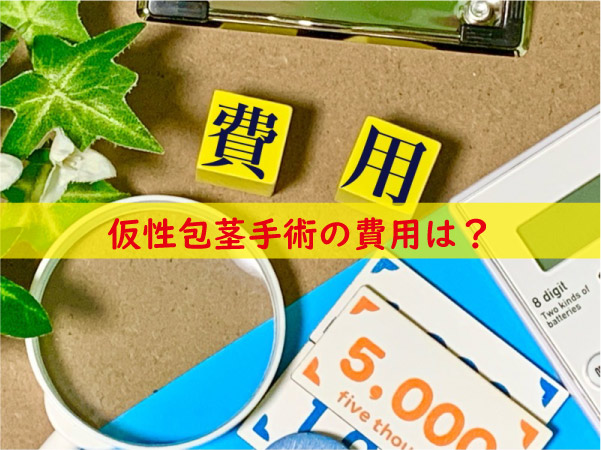 仮性包茎手術の費用は？